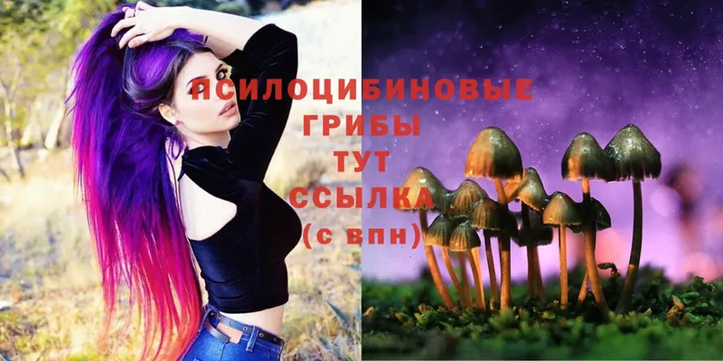 МЕГА   Верея  Галлюциногенные грибы Magic Shrooms  хочу  